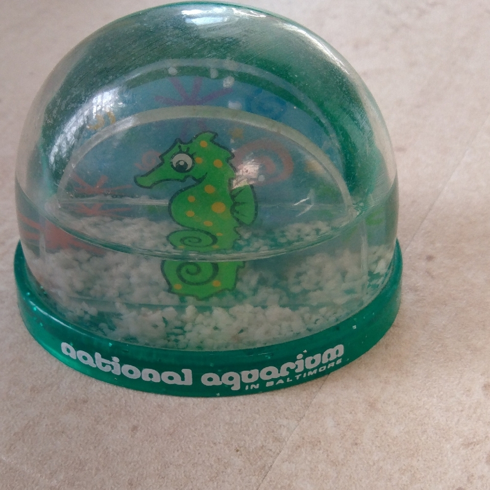 Seahorse Snow Globe
